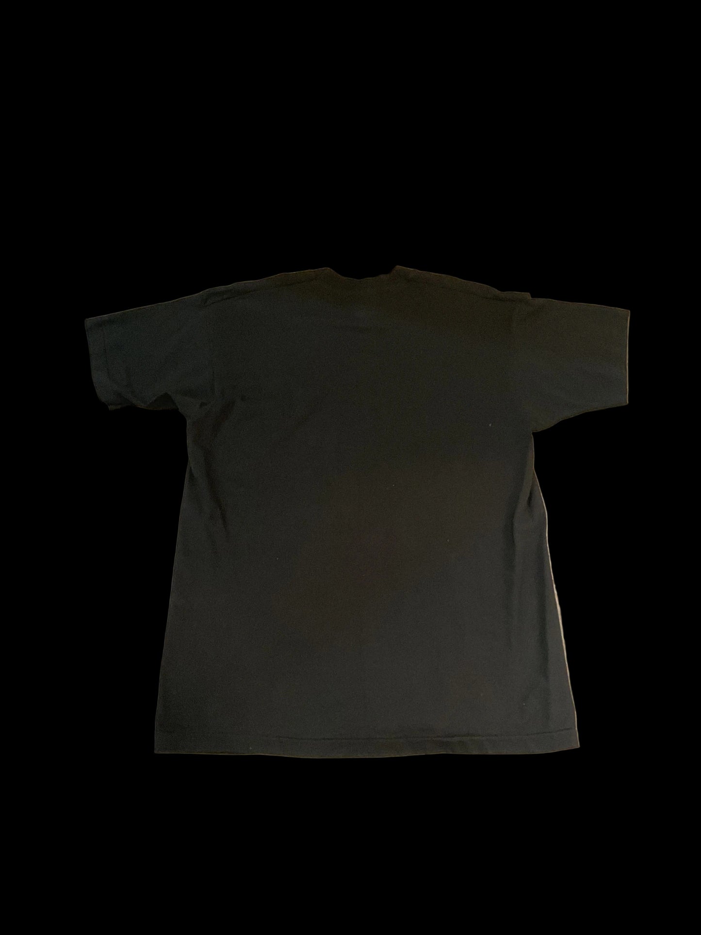 Deadstock Vintage 1994 Brickyard 400 size -Large