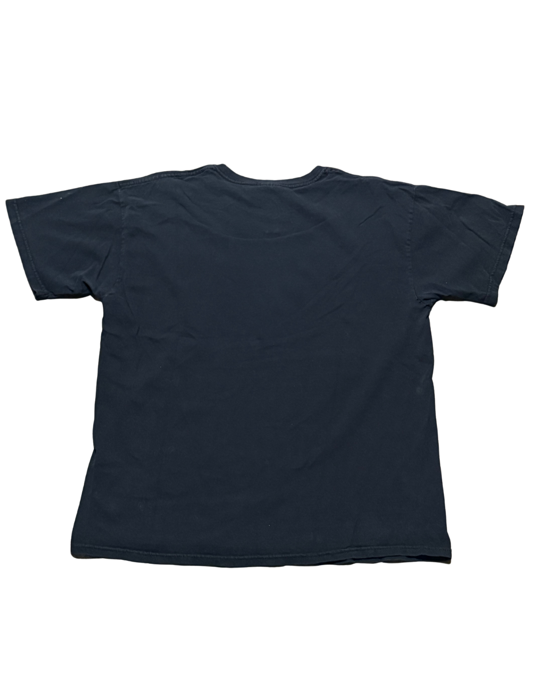 Vintage pterodactyl blackout tee-XL